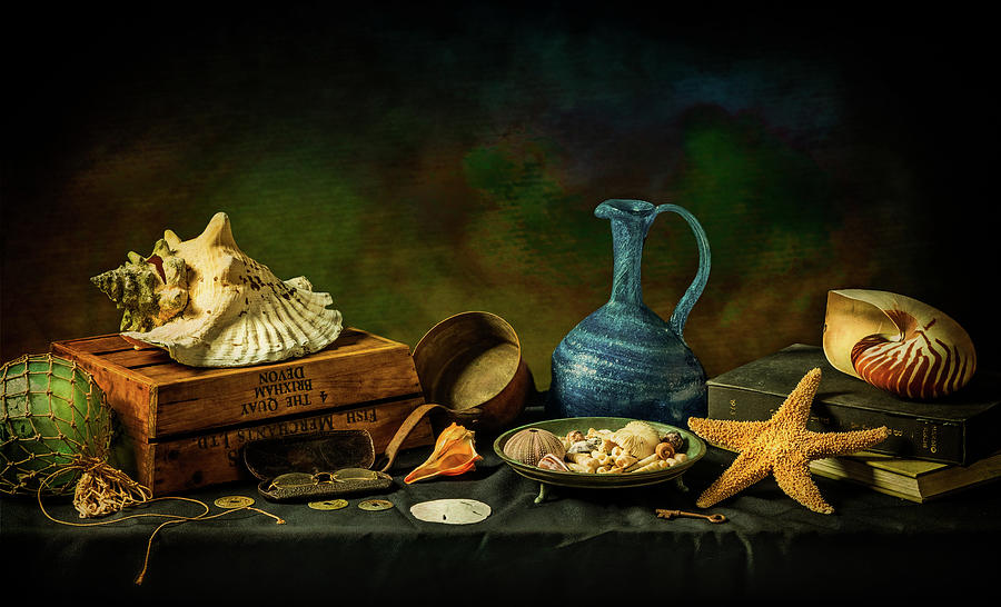 Shell Photograph - Still Life with Shells by Ron Mayhew