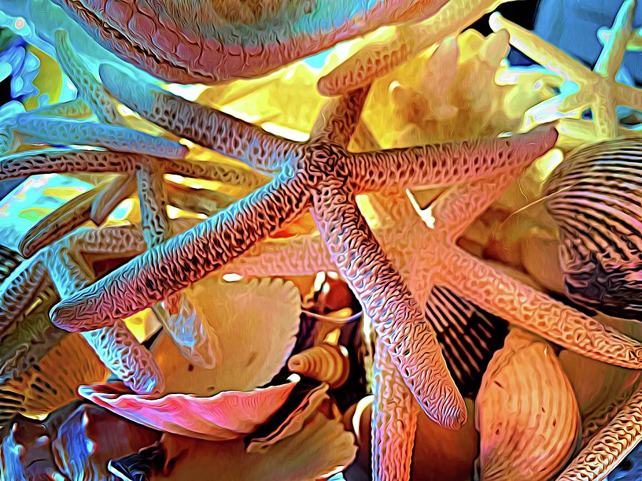 Still Life With Starfish Echinoderm Photograph by Bill Swartwout