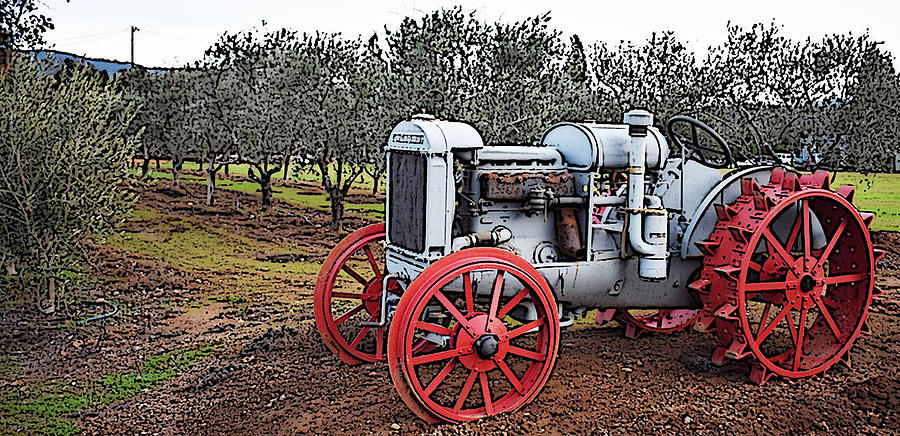Still LIfe with Tractor and Olive Trees Photograph by D Patrick Miller