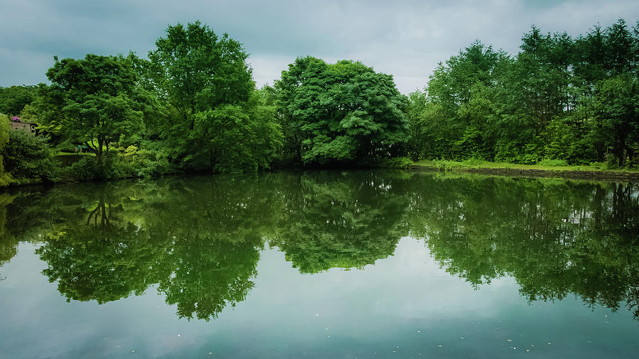 Still Pond with Greenery Photograph by Bj Clayden - Fine Art America