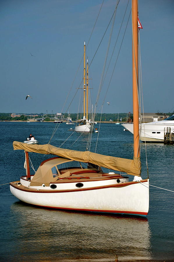 Still Sailboat Photograph by Sue Morris