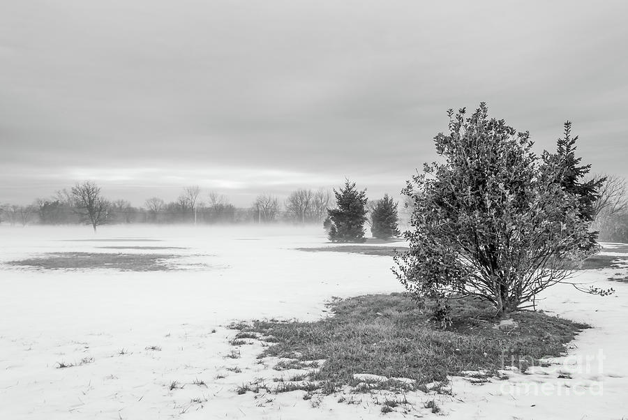 Still Standing by Len Tauro Still Standing by Len Tauro