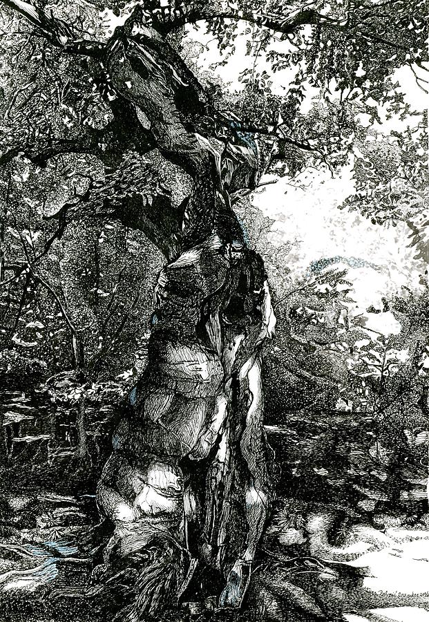 Tree Drawing - Still Strong by Nives Palmic