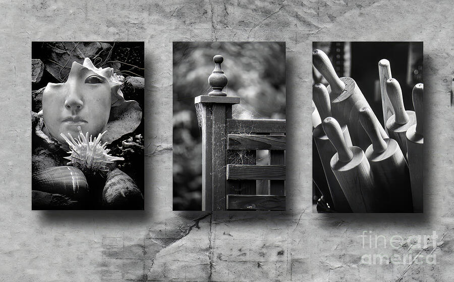 Still Triptych Bw Photograph By Michael Ziegler Fine Art America