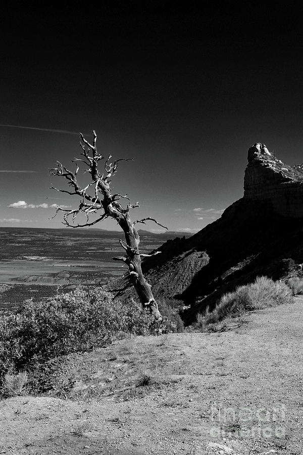 Mesa Verde National Park Photograph - Still Watching Over The Valley by Christiane Schulze Art And Photography