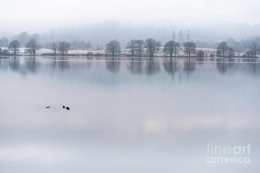 Still Water Lake, Cumbria Photograph by Perry Rodriguez