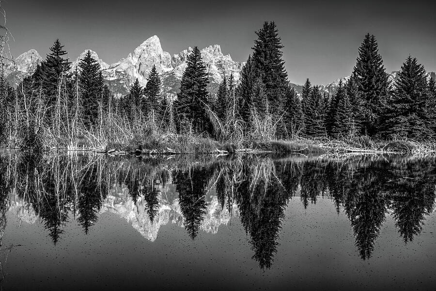 Still Waters And Grand Tetons In Black and White Photograph by Gregory ...