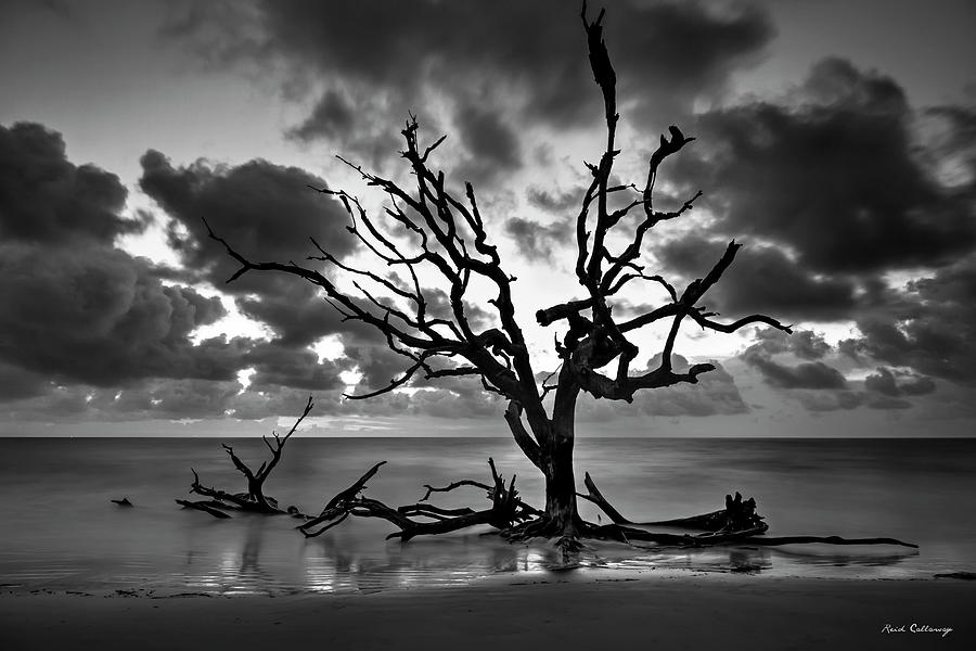Framed Photograph - Still Waters Driftwood Beach Sunrise Jekyll Island Georgia Seascape Art by Reid Callaway