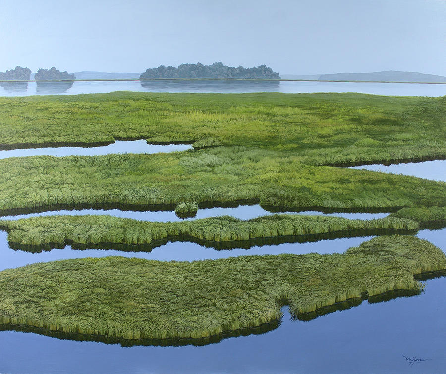 Nature Painting - Still Waters - Marsh by Mitch Lyman