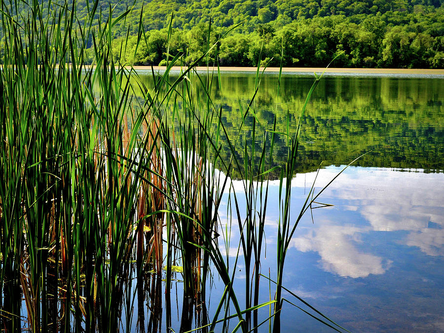 Still Waters Photograph by Susie Loechler