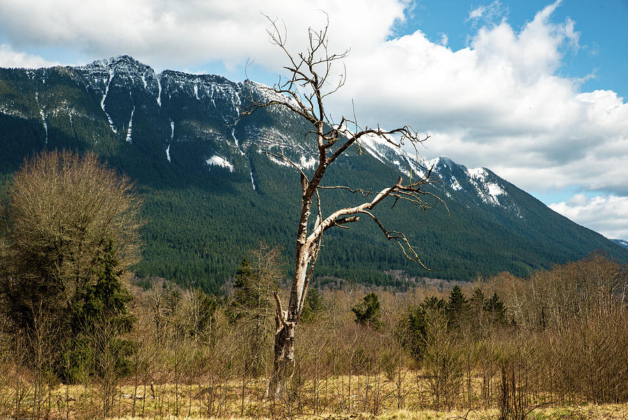 Stillaguamish Snag and Round Mountain Photograph by Tom Cochran