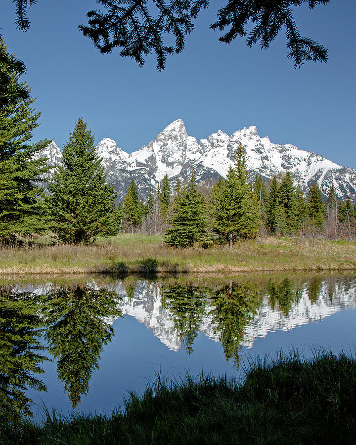 Stillness in the Tetons Photograph by Jack Bell