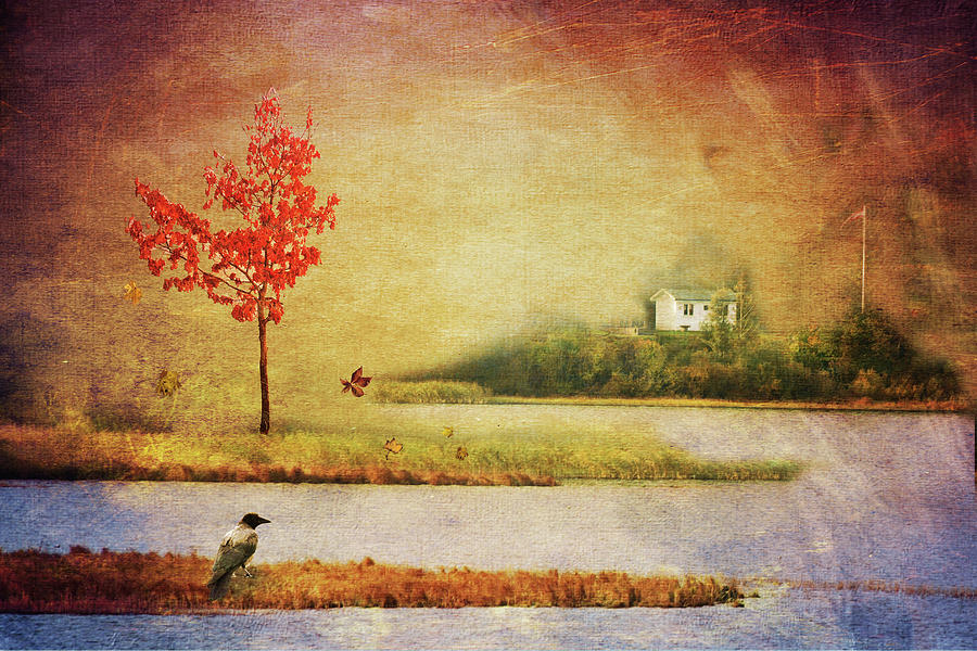 Stillness of Fall Photograph by Randi Grace Nilsberg