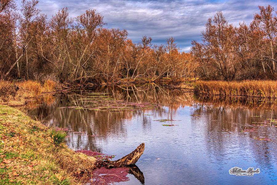 Stillness on the River by William Havle Stillness on the River by William Havle