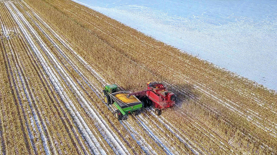 Stillwater Winter Corn Harvest Photograph by Greg Schulz Pictures Over Stillwater