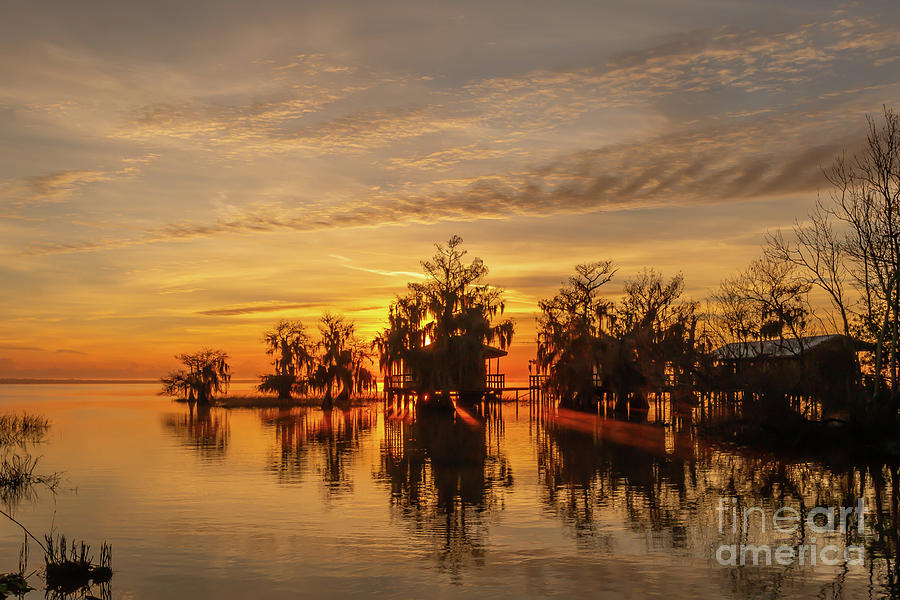 Stilt Cabins and Cypress Sunrise Photograph by Tom Claud