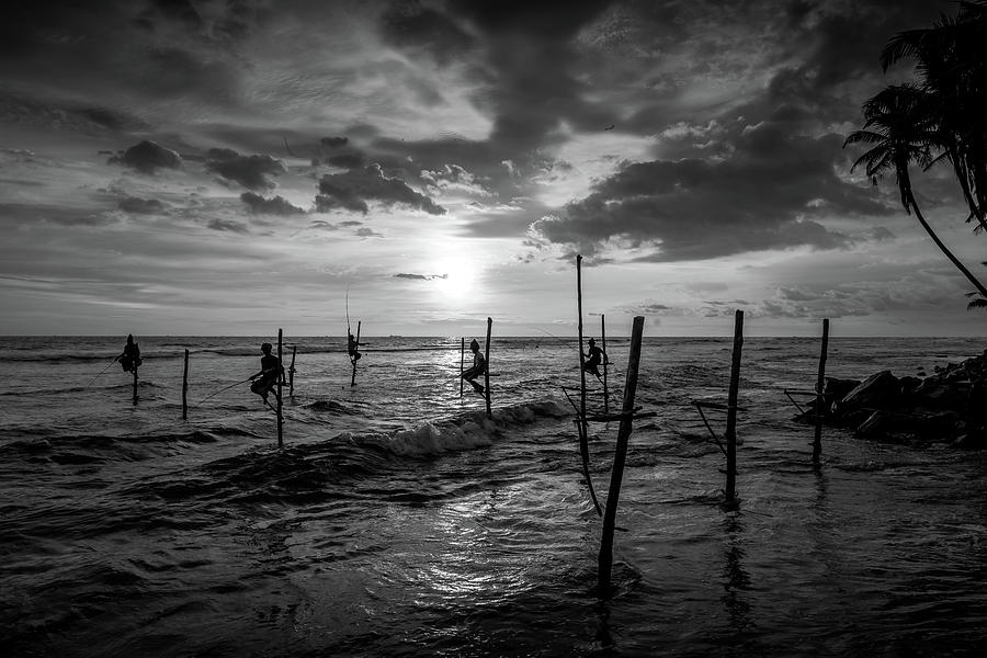 Stilt Fisherman at Sunset Photograph by Arj Munoz