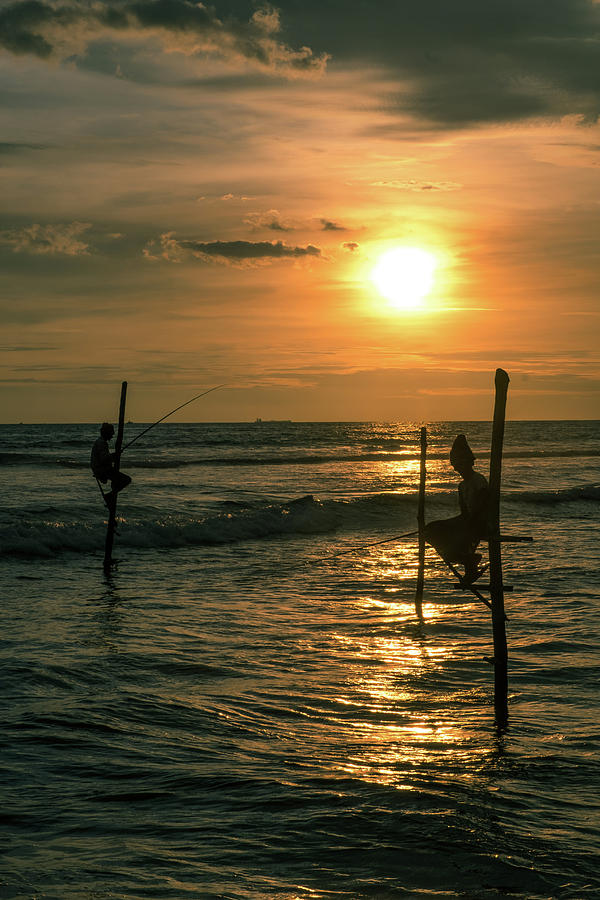 Stilt Fishermen in Galle Photograph by Arj Munoz