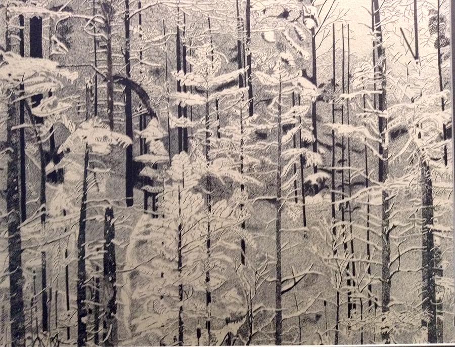 Stippled Forest Drawing by Bryan Brouwer