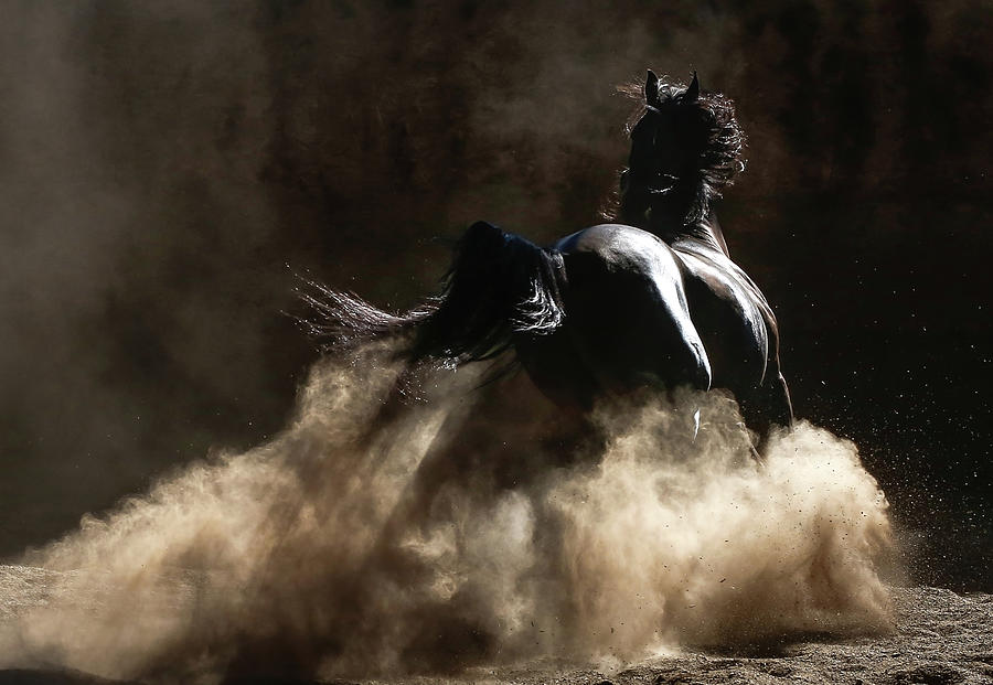 Stirring Up Dust II Photograph by Athena Mckinzie Pixels