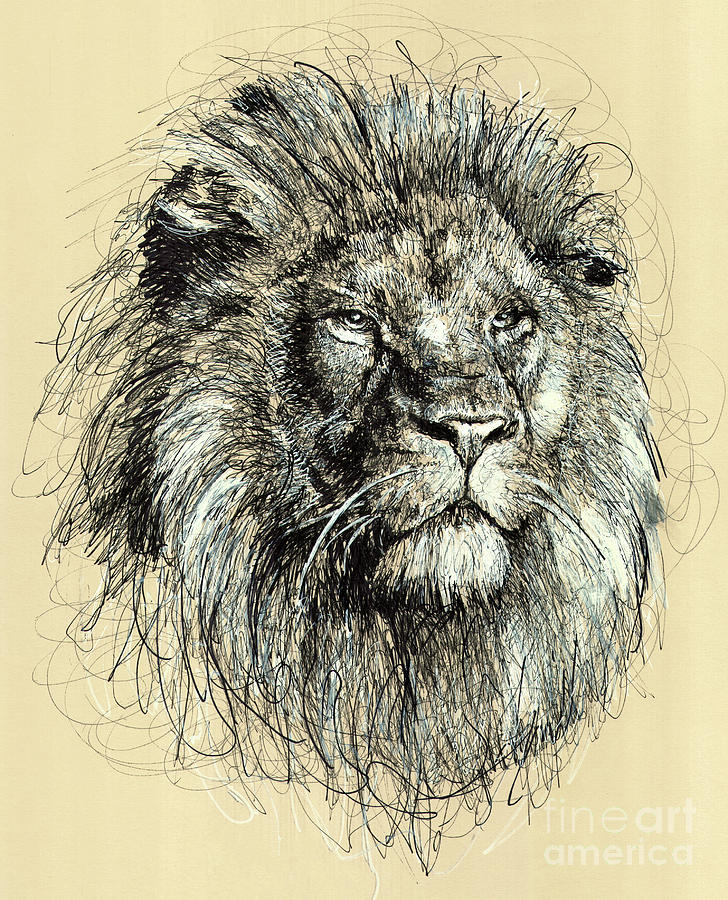Stoic Lion Drawing