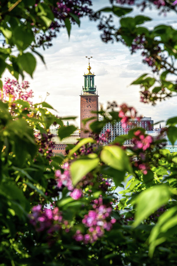 Summer Photograph - Stockholm City Hall in Summer Greens by Nicklas Gustafsson