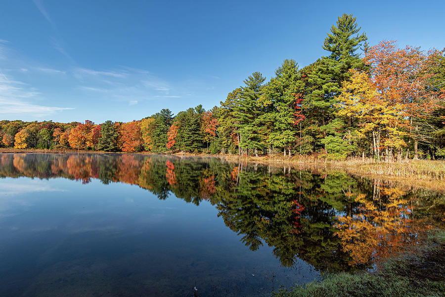 Stokes Forest Stony Lake Foliage Photograph by Steven Richman - Fine ...