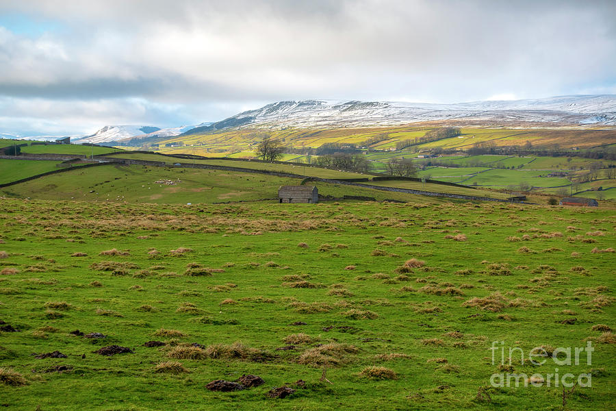 Stone barn near Sedbusk Wensleydale in the Yorkshire Dales Photograph by Louise Heusinkveld