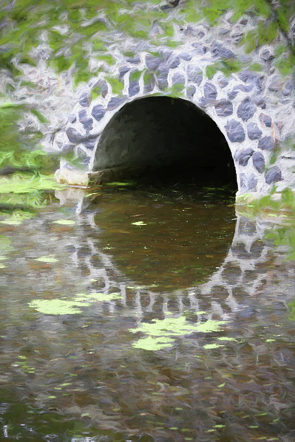 Stone Bridge Dow Gardens Painterly 050922 Photograph by Mary Bedy