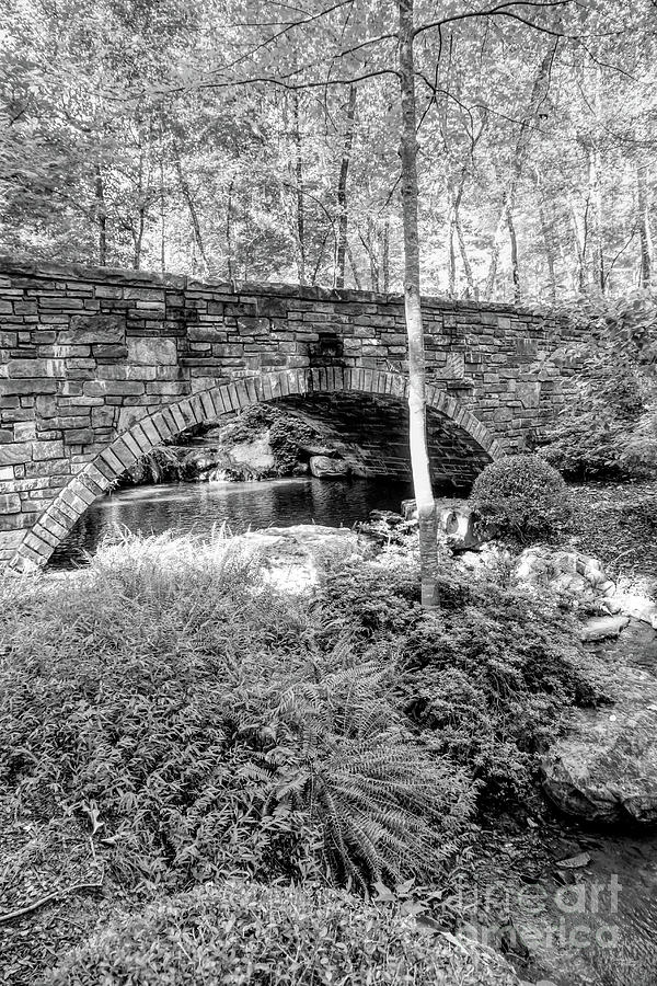 Stone Bridge In The Woods Grayscale Photograph By Jennifer White - Fine ...