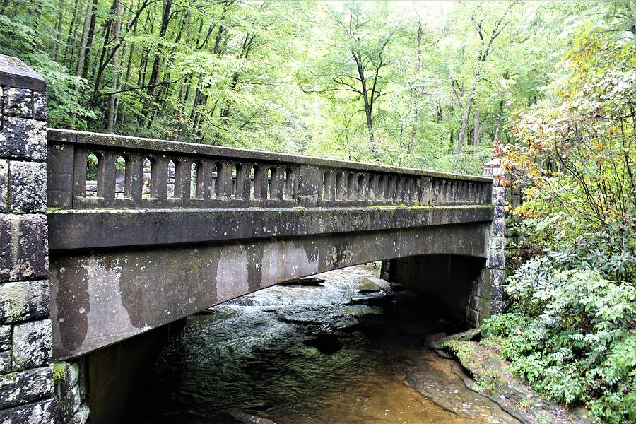 Stone Bridge Over Moore Creek Photograph by Carol McGrath - Pixels