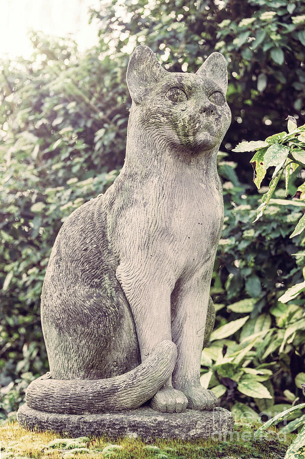 Stone cat Photograph by Delphimages Photo Creations