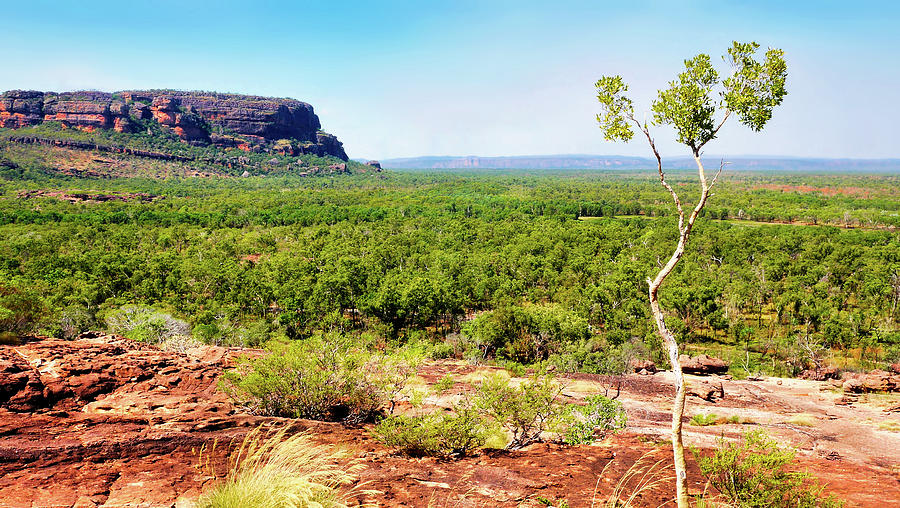 Stone Country to Nourlangie - Kakadu NP Photograph by Lexa Harpell
