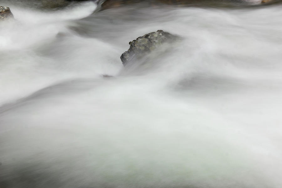 Stone Covered In River Water Photograph