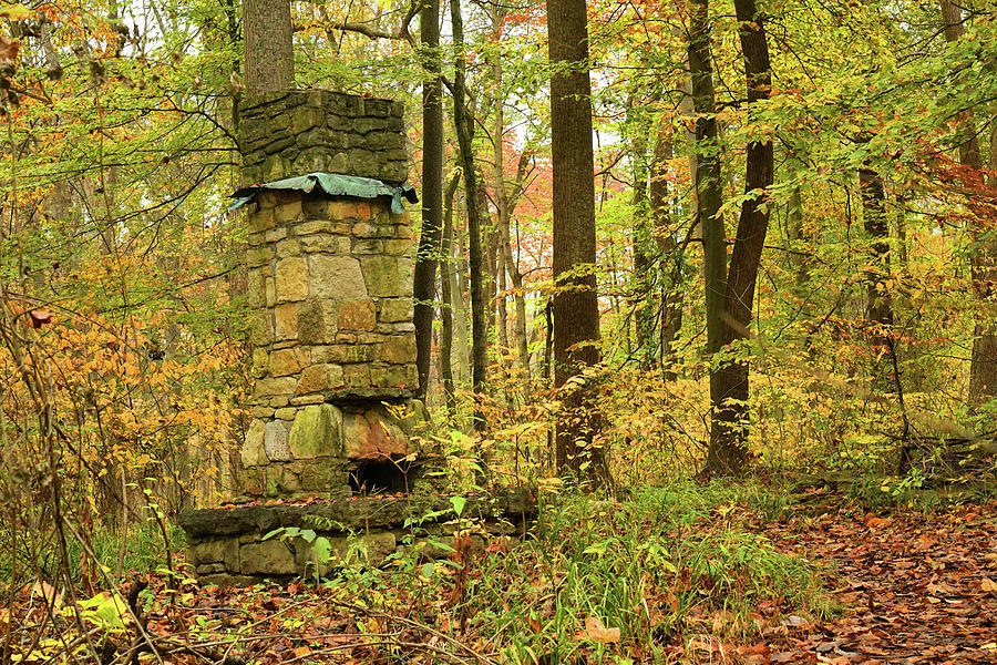Stone Fireplace In Forest Photograph