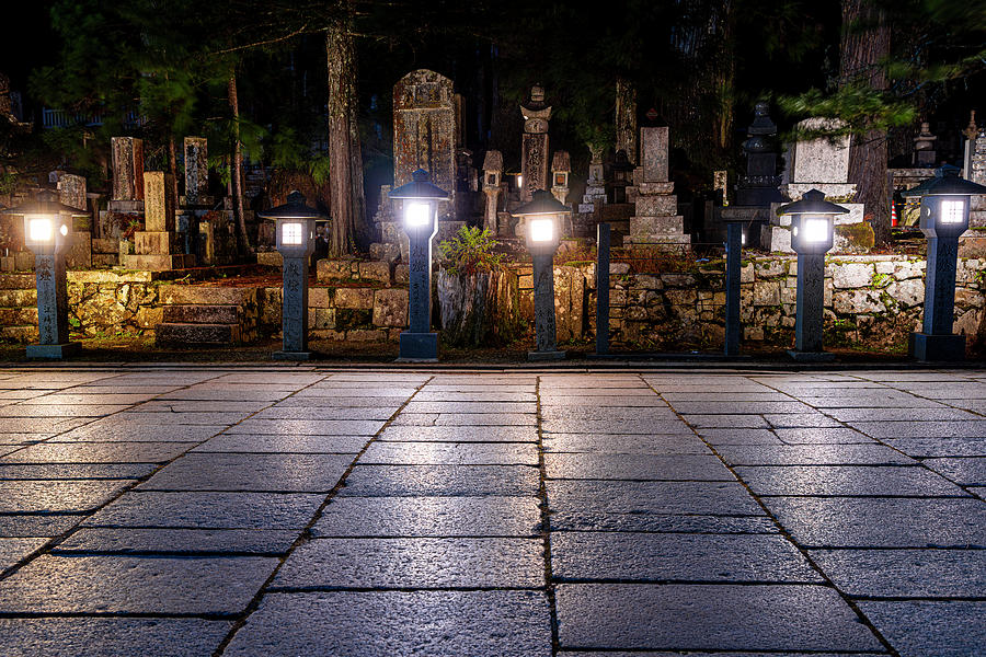 Nature Photograph - Stone lanterns in Okunoin cemetery  by Gualtiero Boffi