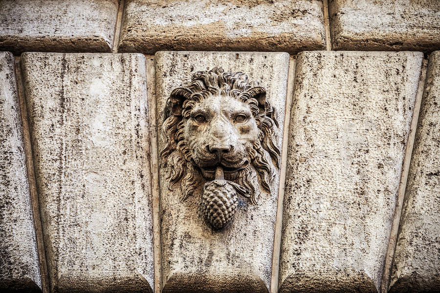 Stone lion head in Rome, Italy Photograph by Fabiano Di Paolo
