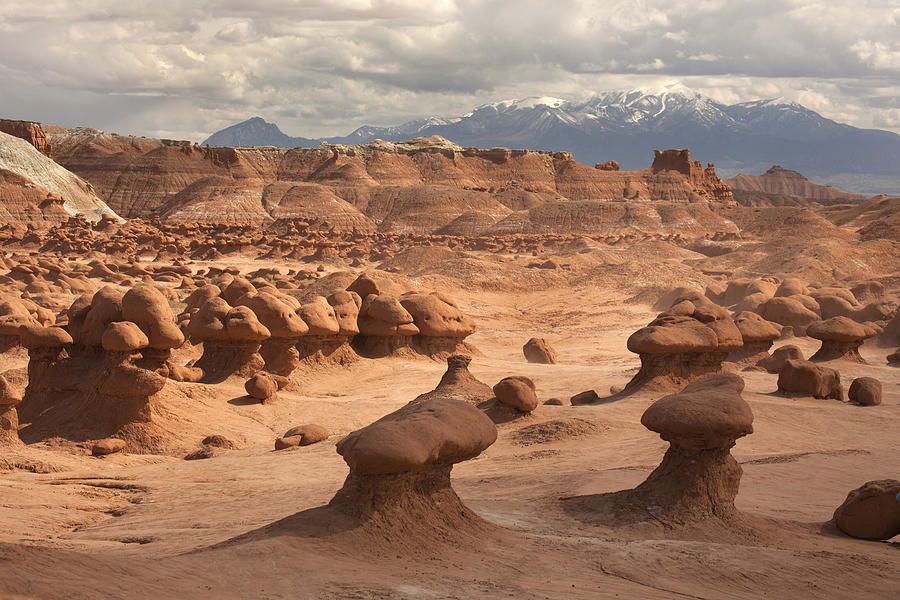 Stone mushrooms Goblin Valley State Park snow capped Henry Mountains Utah Photograph by Milehightraveler