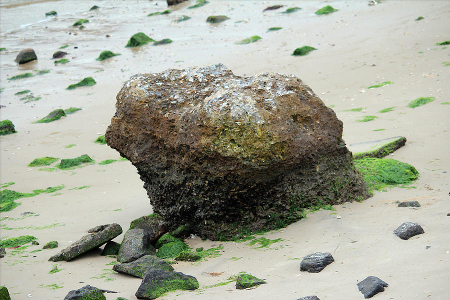Stone On The Shore Photograph by Cynthia Guinn