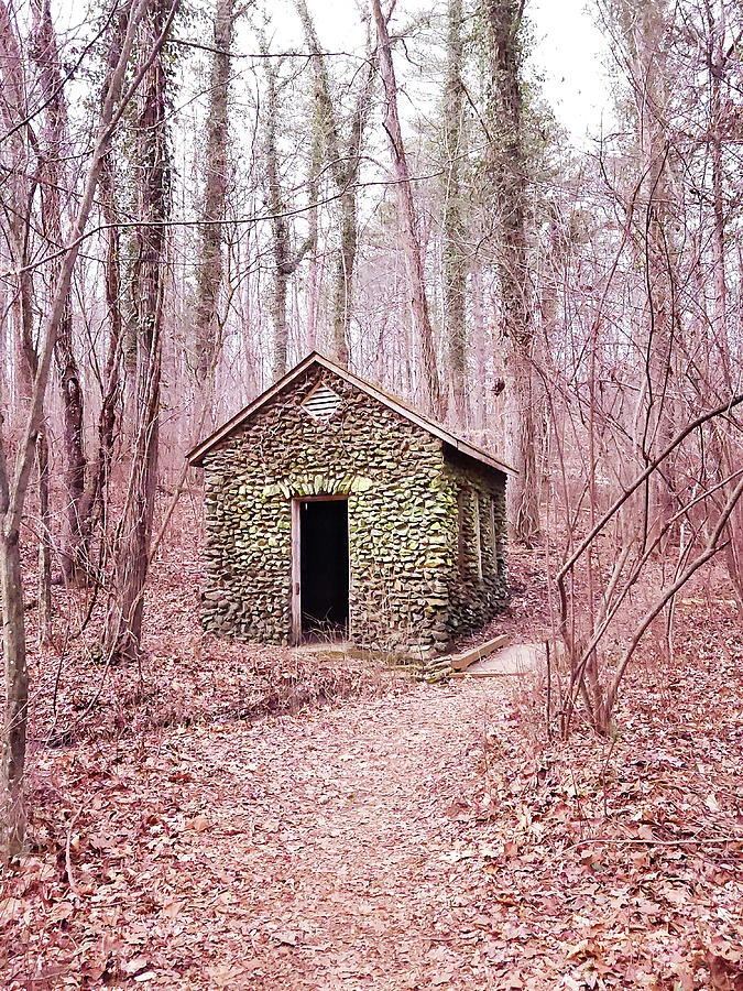 Stone Out Building In The Woods Photograph