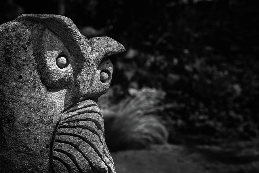 Stone Owl In The Gardens Photograph by Mike Schaffner
