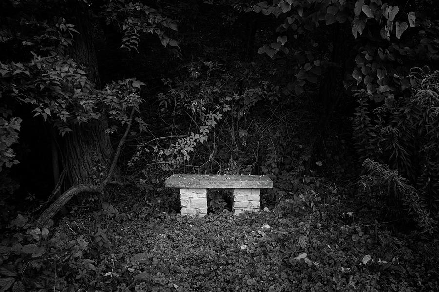 Stone Park Bench Photograph
