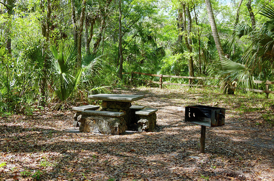 Stone Picnic Table Photograph by Sally Weigand