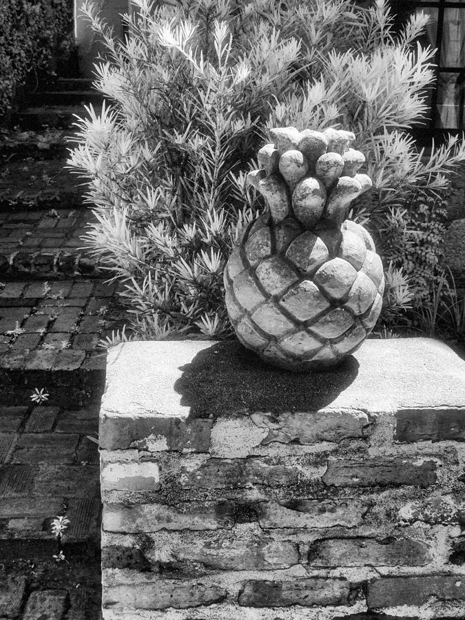 Stone Pineapple Photograph by Jeffrey Holbrook