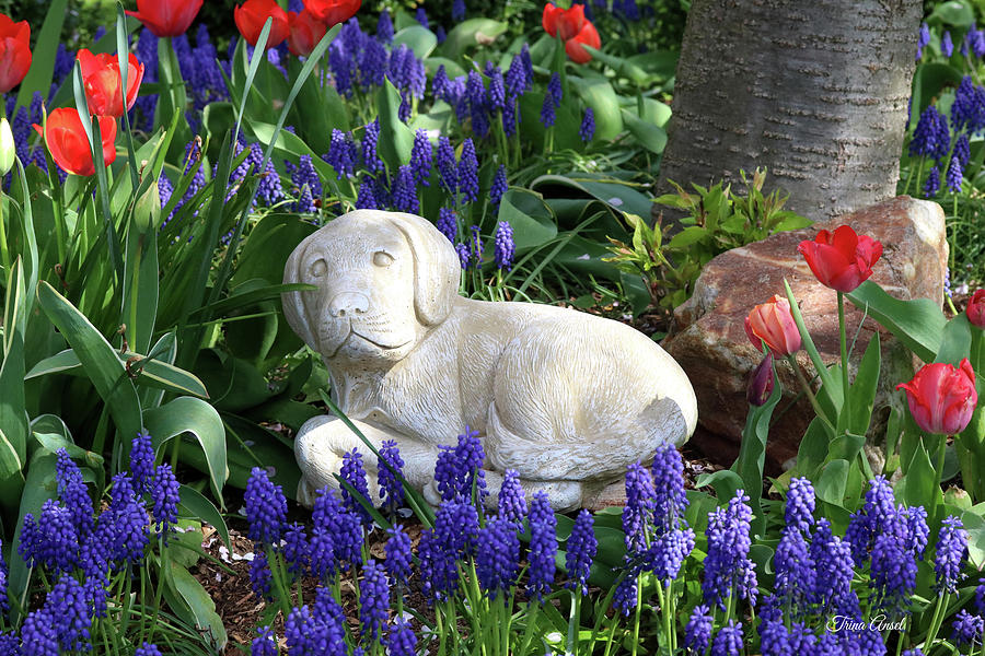 Stone Puppy in the Spring Garden Photograph by Trina Ansel