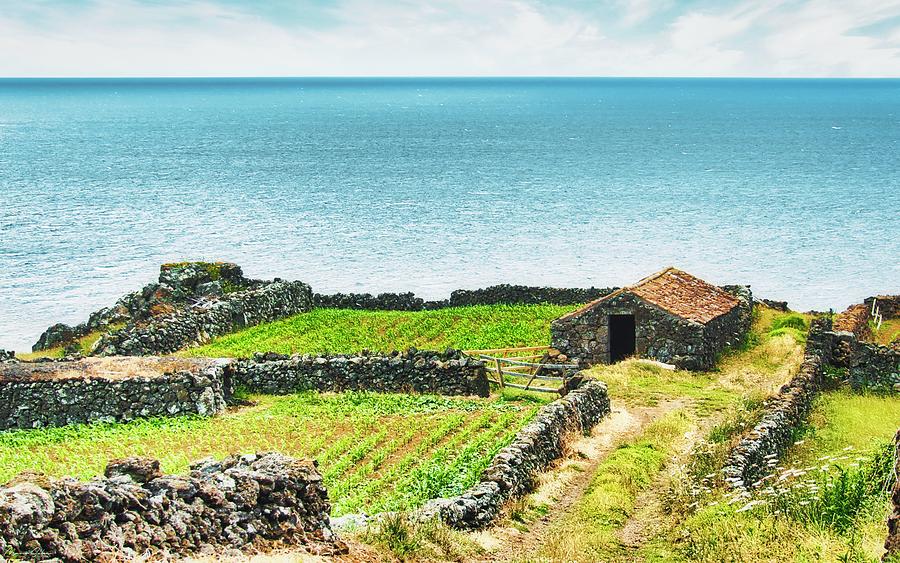 Stone Shed in Azores Coastal Farmlands Photograph by Marco Sales