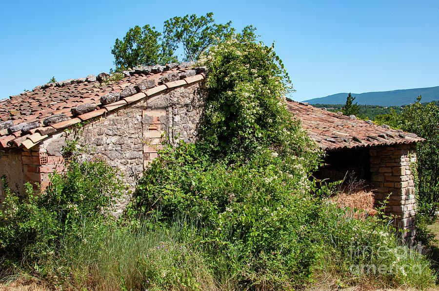 Stone Shed in Provence Photograph by Bob Phillips
