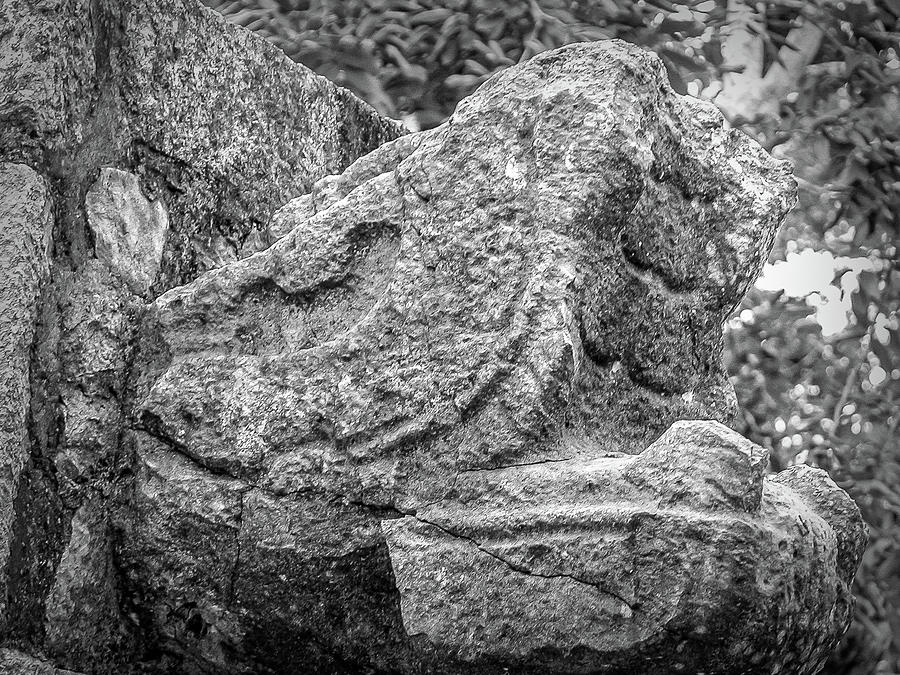 Stone Snakehead Carving - Chichen Itza Photograph by Frank Mari