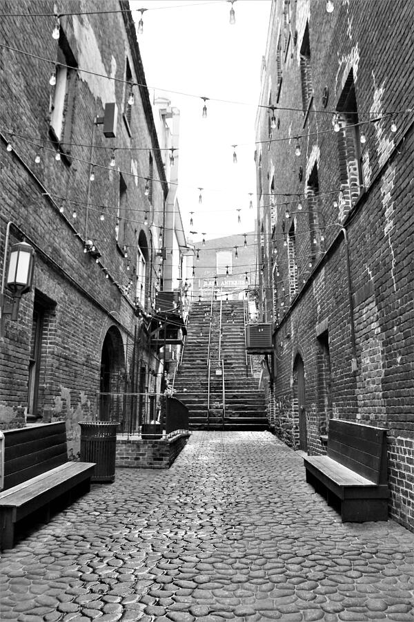 Stone Stairs In The Alley Photograph By Carol Mcgrath