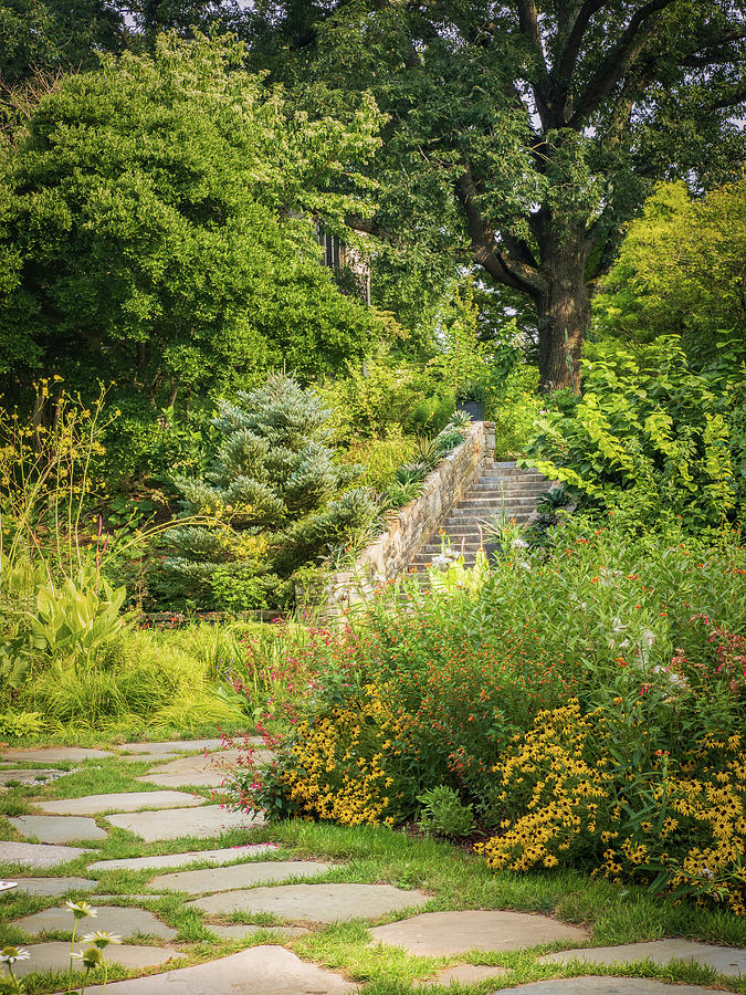 Stone Stairs in the Garden Photograph by Kristia Adams